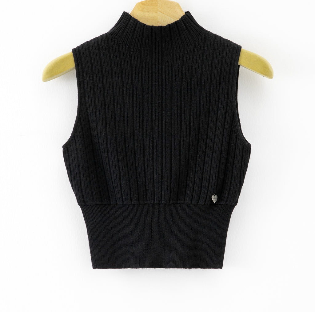 LURTS2 Black Ribbed Turtleneck Sweater