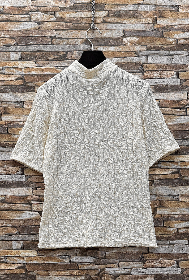 ES33 Beige Lace Top